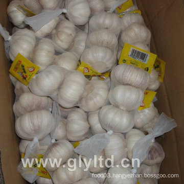 Normal White Garlic with Mesh Bag (4.5cm and up)